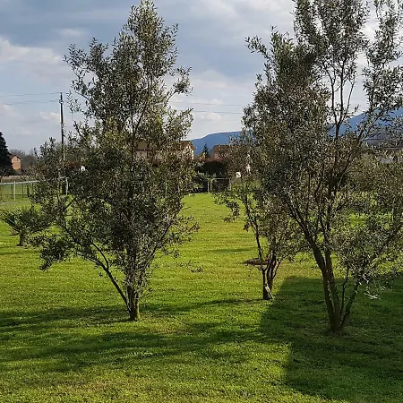 M.d. House Vakantiehuis Capannori